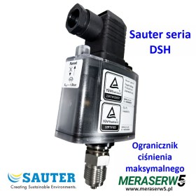 Ogranicznik z resetem DSH 152